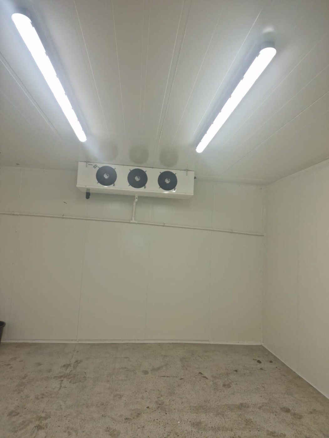 Walk-in cold room interior with triple-fan evaporator – commercial refrigeration by DLG Shopfitting